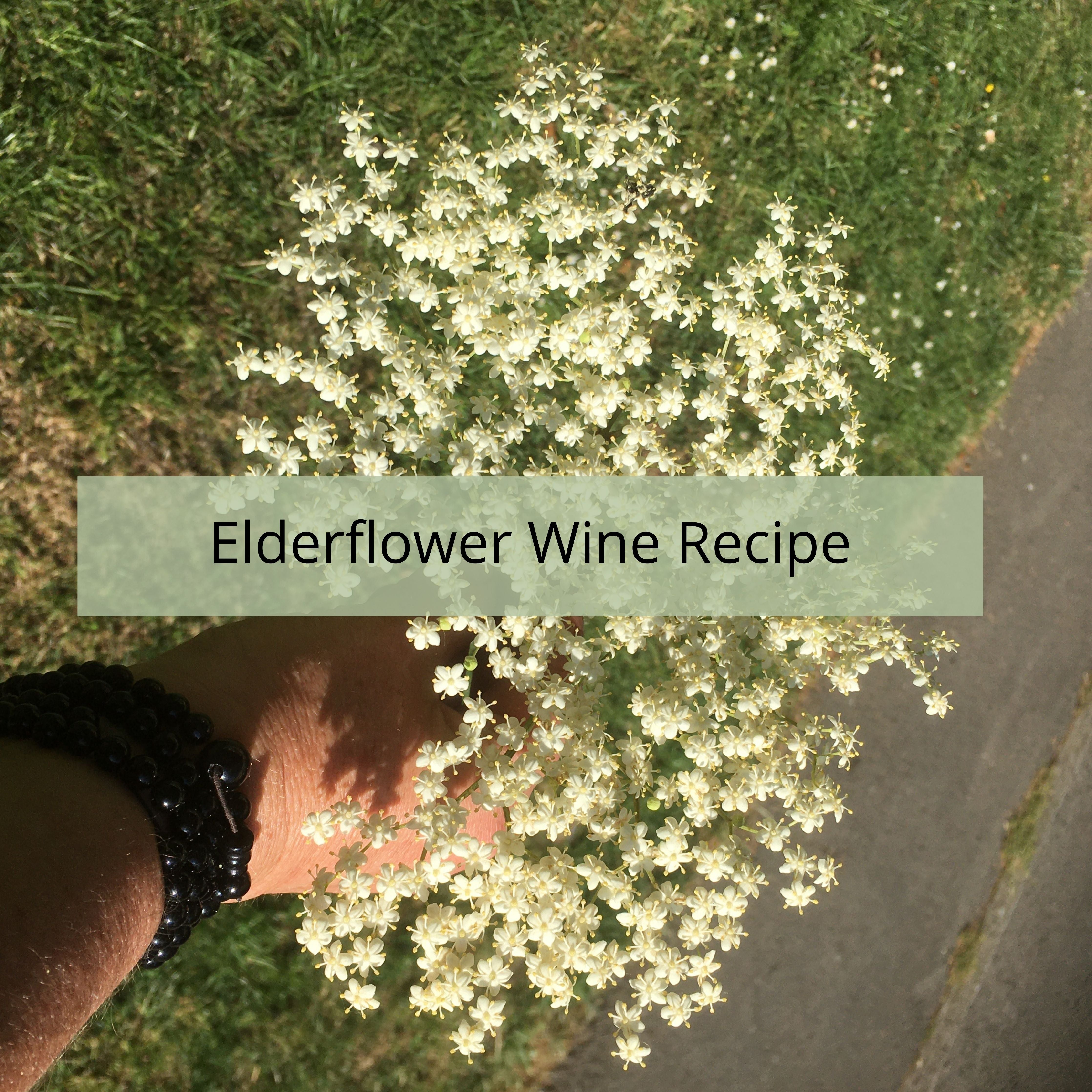 Elderflower Wine Recipe – Almost Off Grid