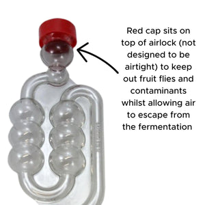 2 x 5 Litre /1 gallon PET Demijohns with Caps, Grommets, Airlocks Thermometers