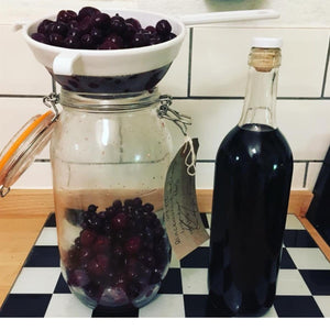 Almost Off Grid Sloe Gin and Sloe Port Kit (Solid) - Almost Off Grid