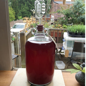 Mini Wine Making Kit with Simple Syphon