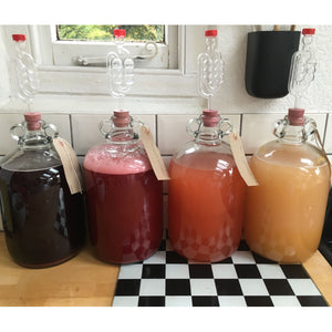 Basic Starter Kit for Home Brew - Beer, Wine or Cider - Almost Off Grid